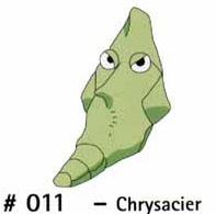 N 011 Chrysacier